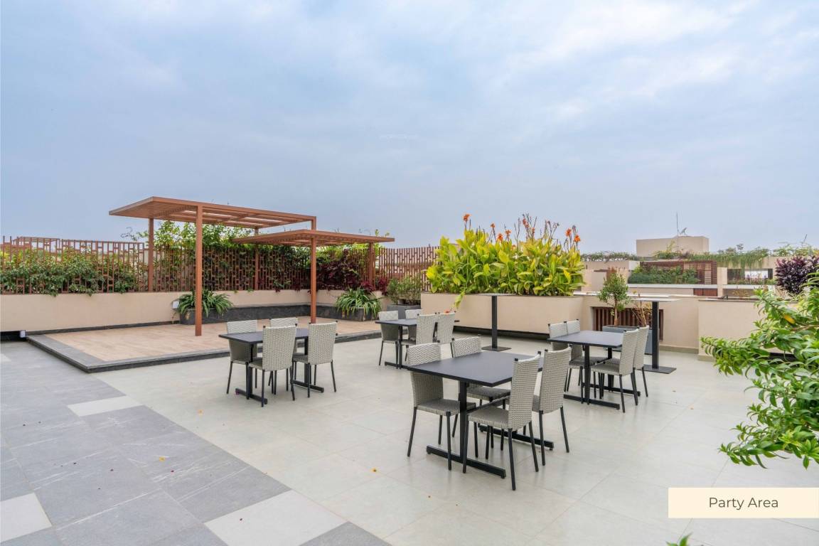  fortune one Party Lawn