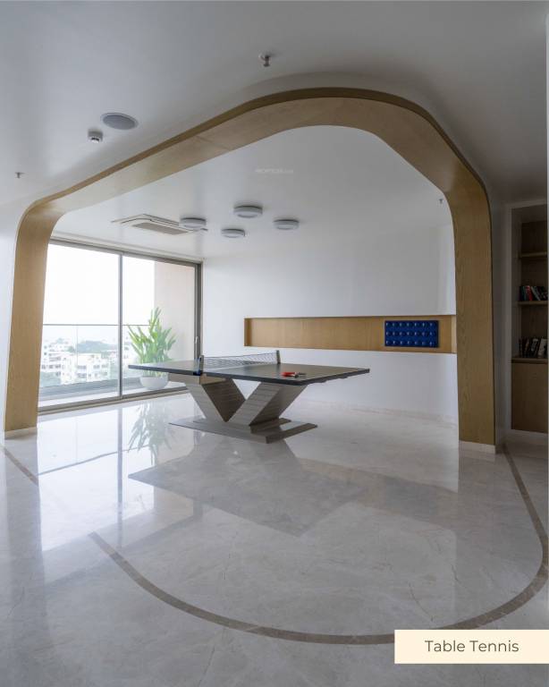  fortune one Table Tennis