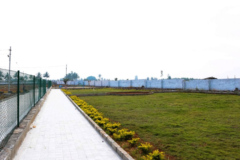  green palms Landscaped Gardens