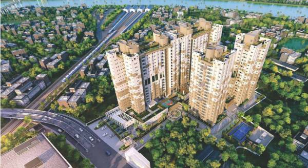  essense Images for Project