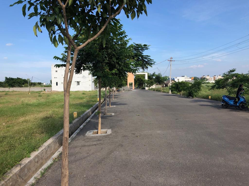 Images for mainOther