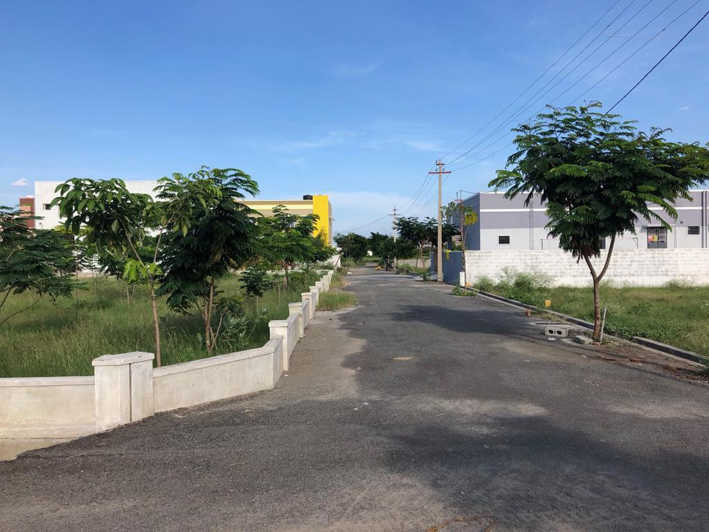 Images for mainOther