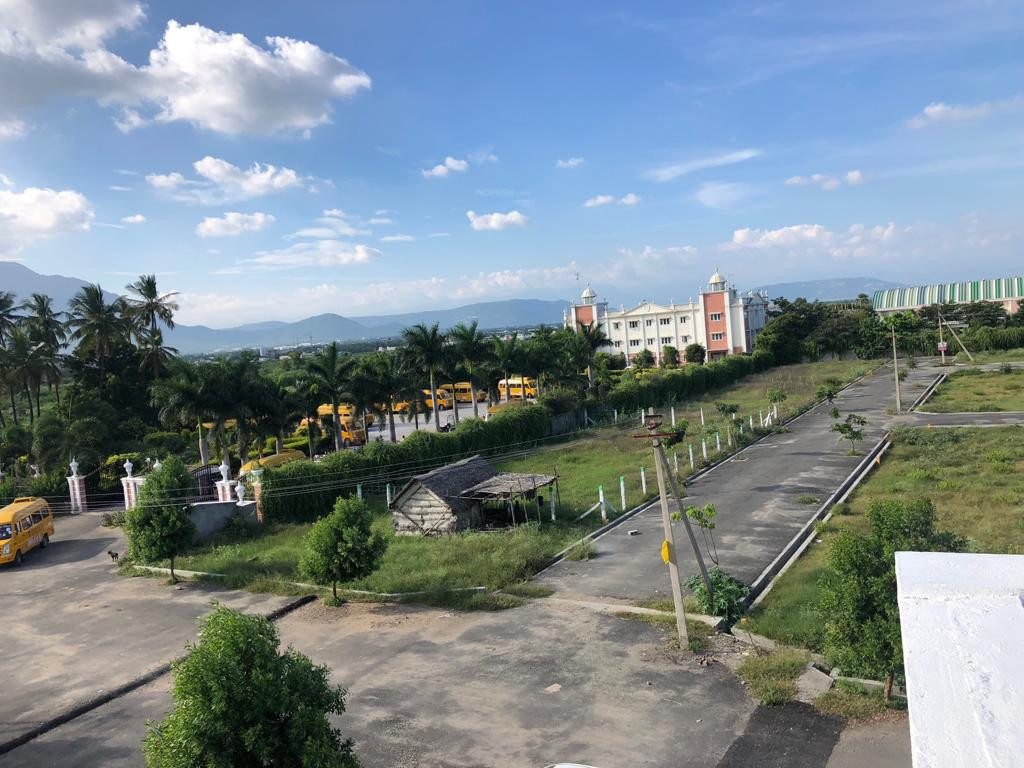 Images for mainOther