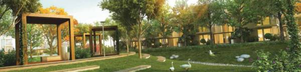 Others eternity Others