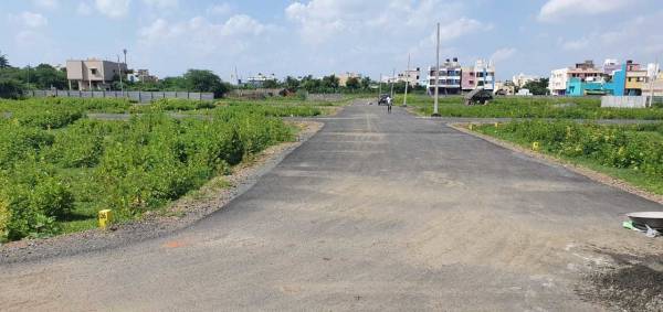 Images for mainOther