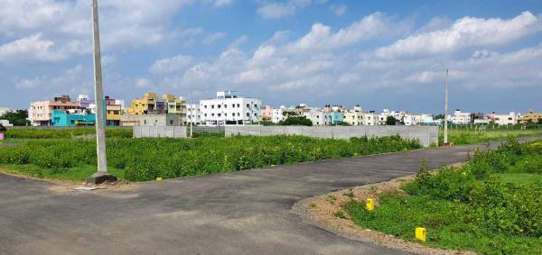 Images for mainOther