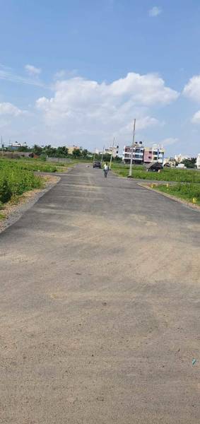 Images for mainOther