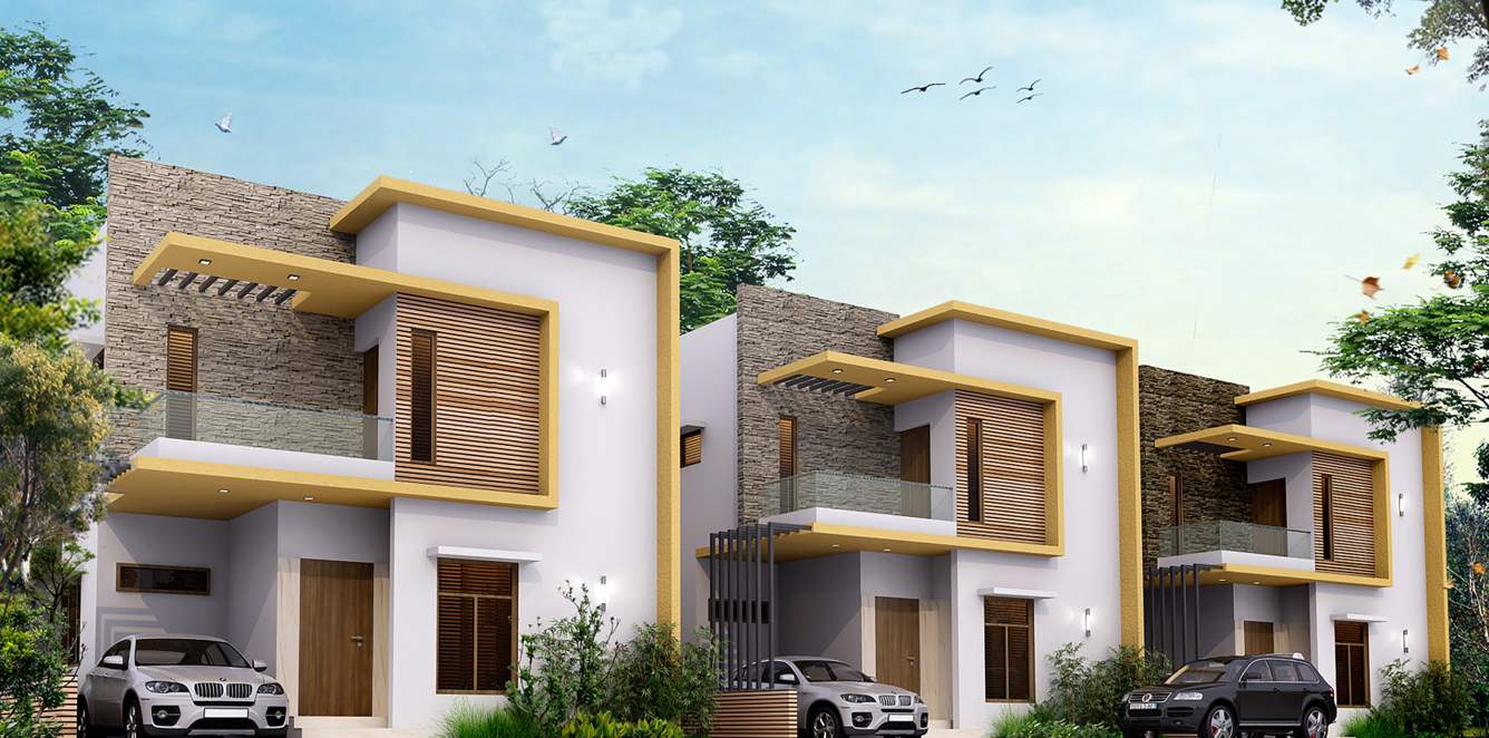  green blossom Images for Project