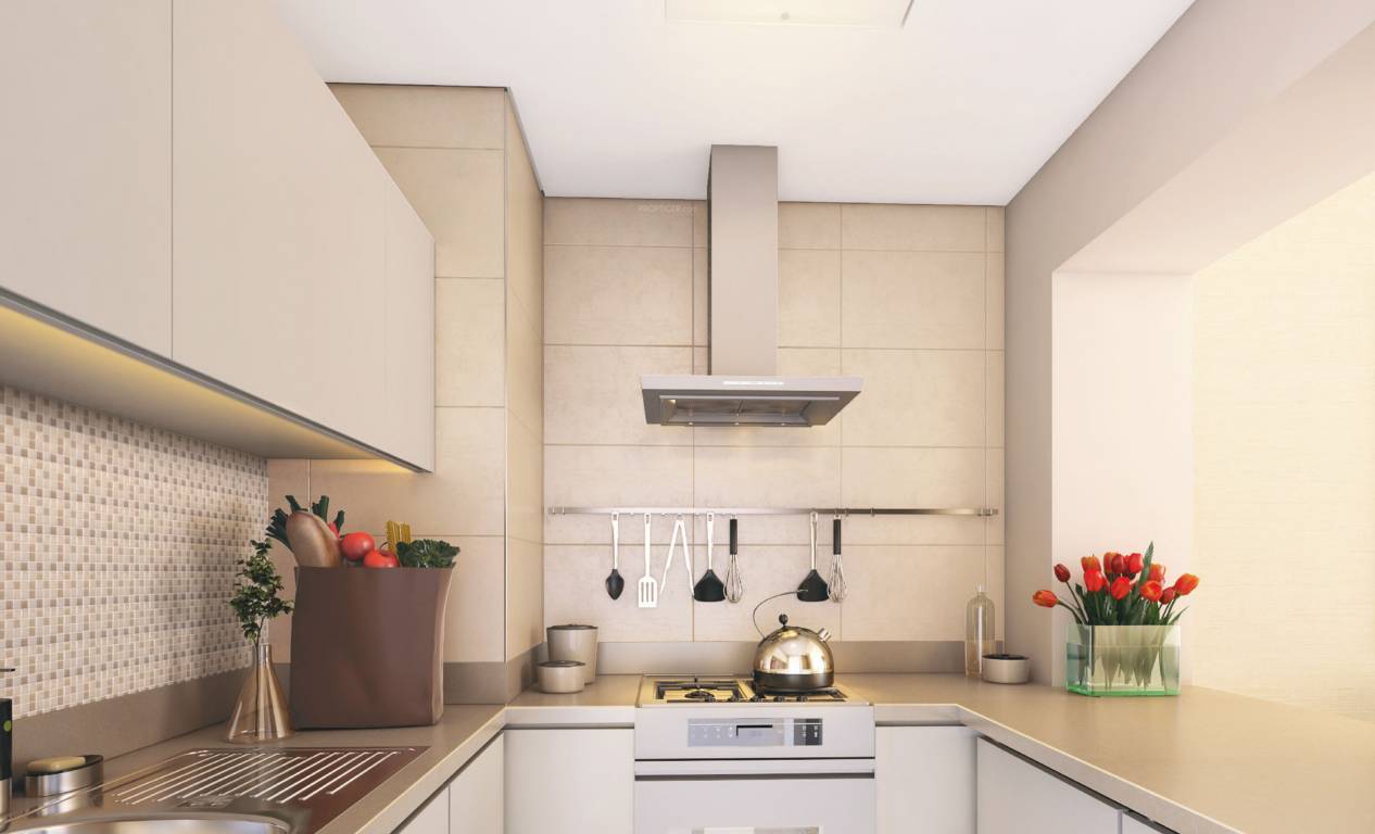 Images for mainOther