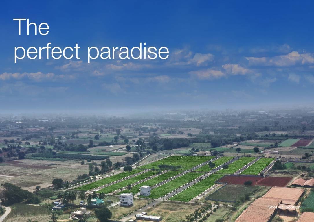  rbd meadows Elevation