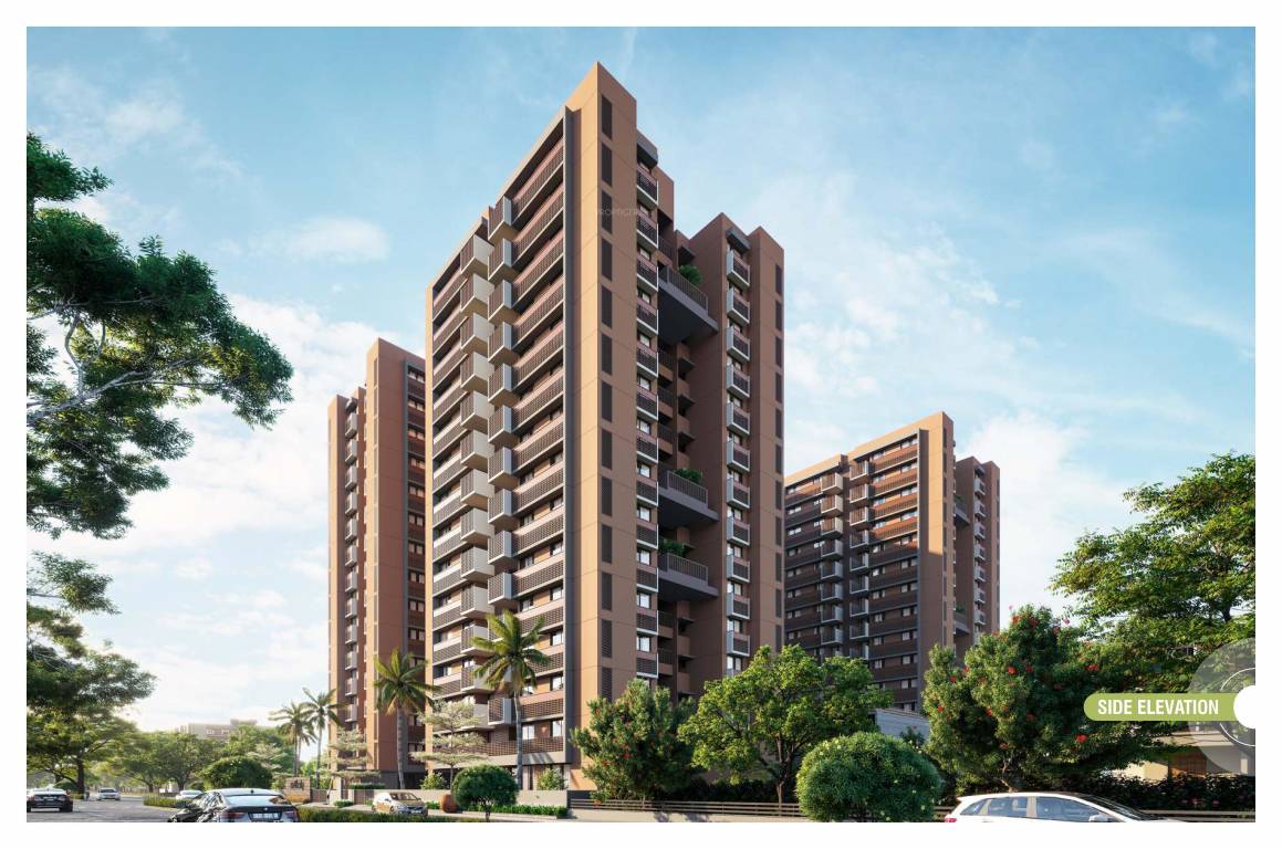  seattle sky Elevation