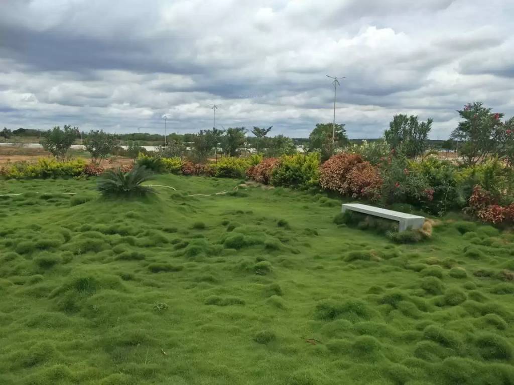  lorna greens plot Plot