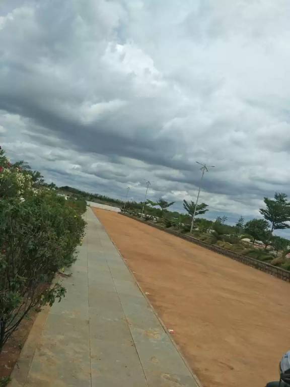  lorna greens plot Plot