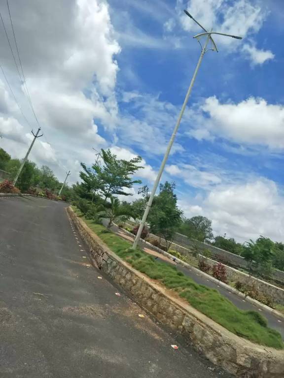  lorna greens plot Plot