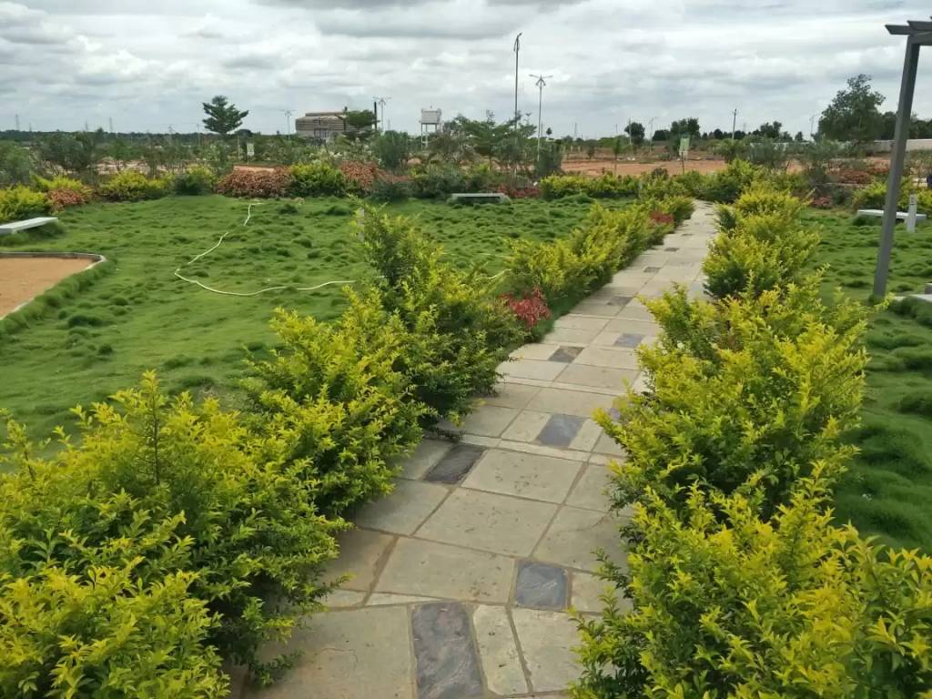  lorna greens plot Plot