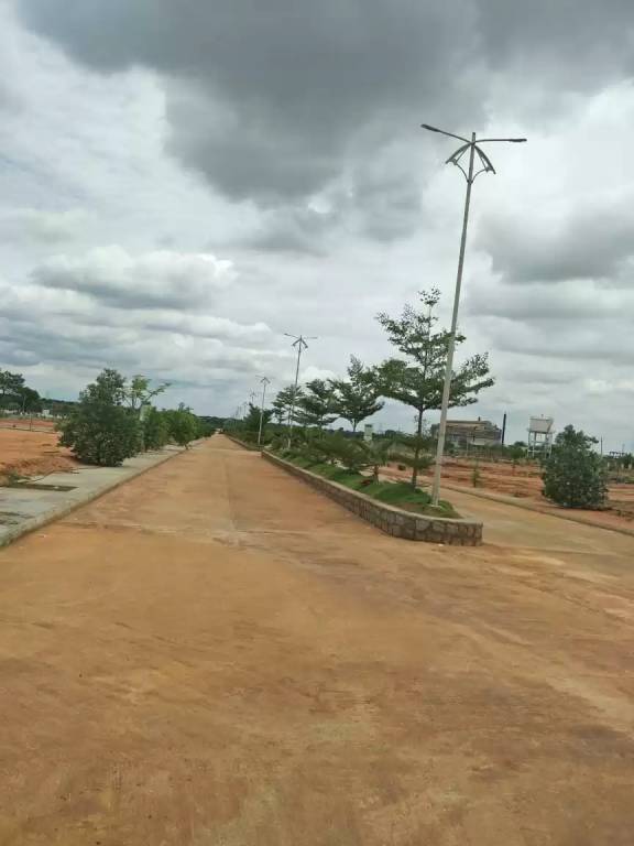  lorna greens plot Plot