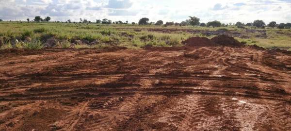  evergreen-city Images for mainOther