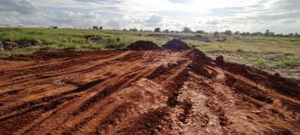  evergreen-city Images for mainOther