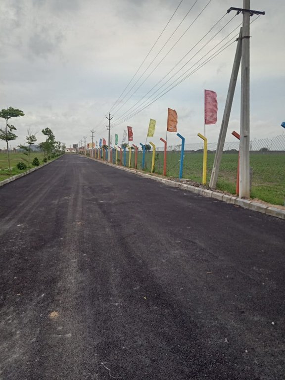 Images for mainOther