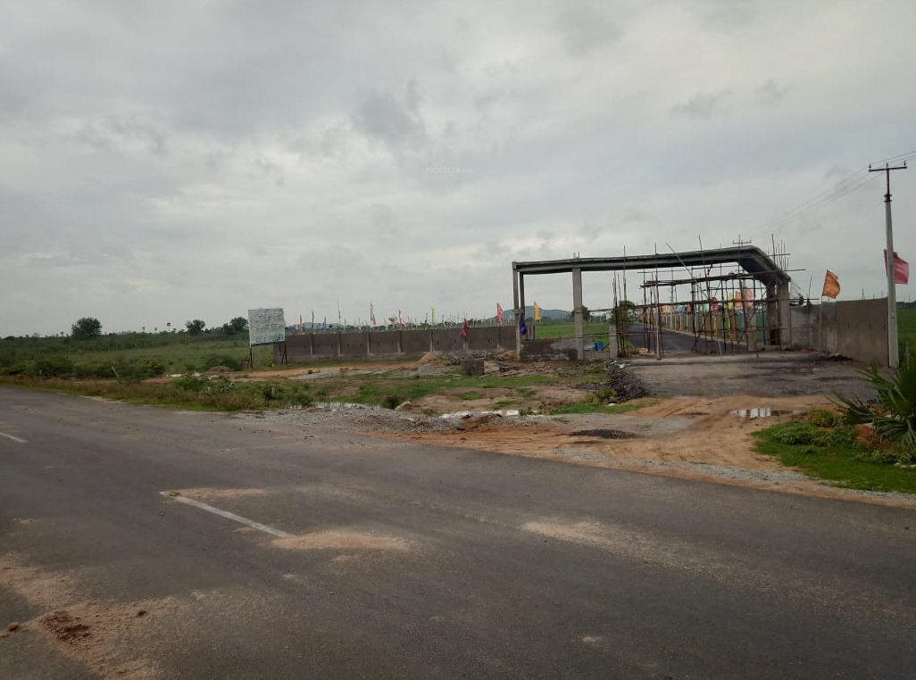 Images for mainOther