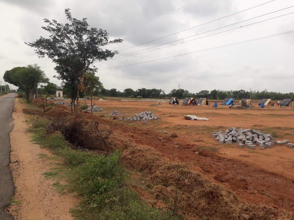 Images for mainOther