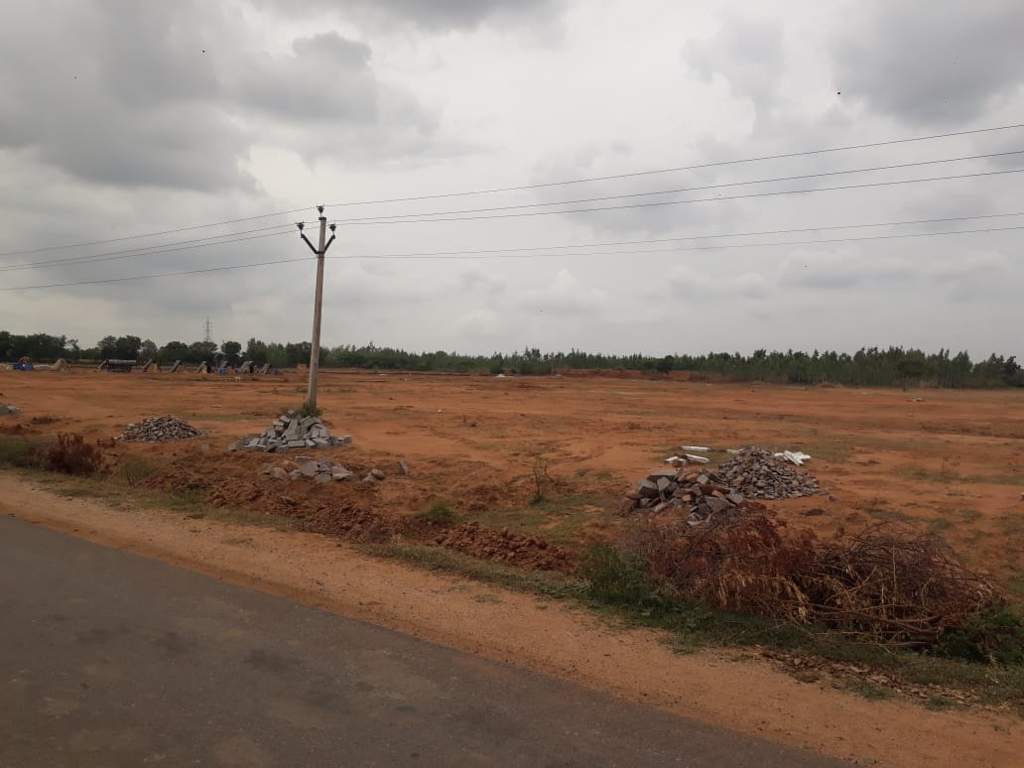 Images for mainOther