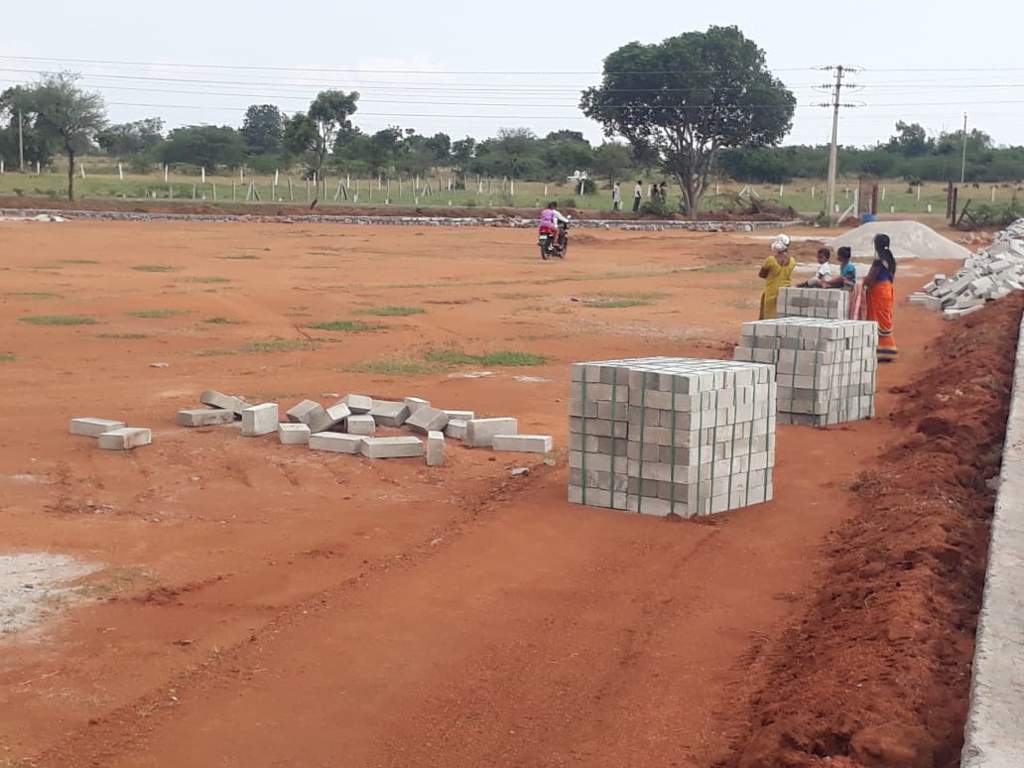 Images for mainOther