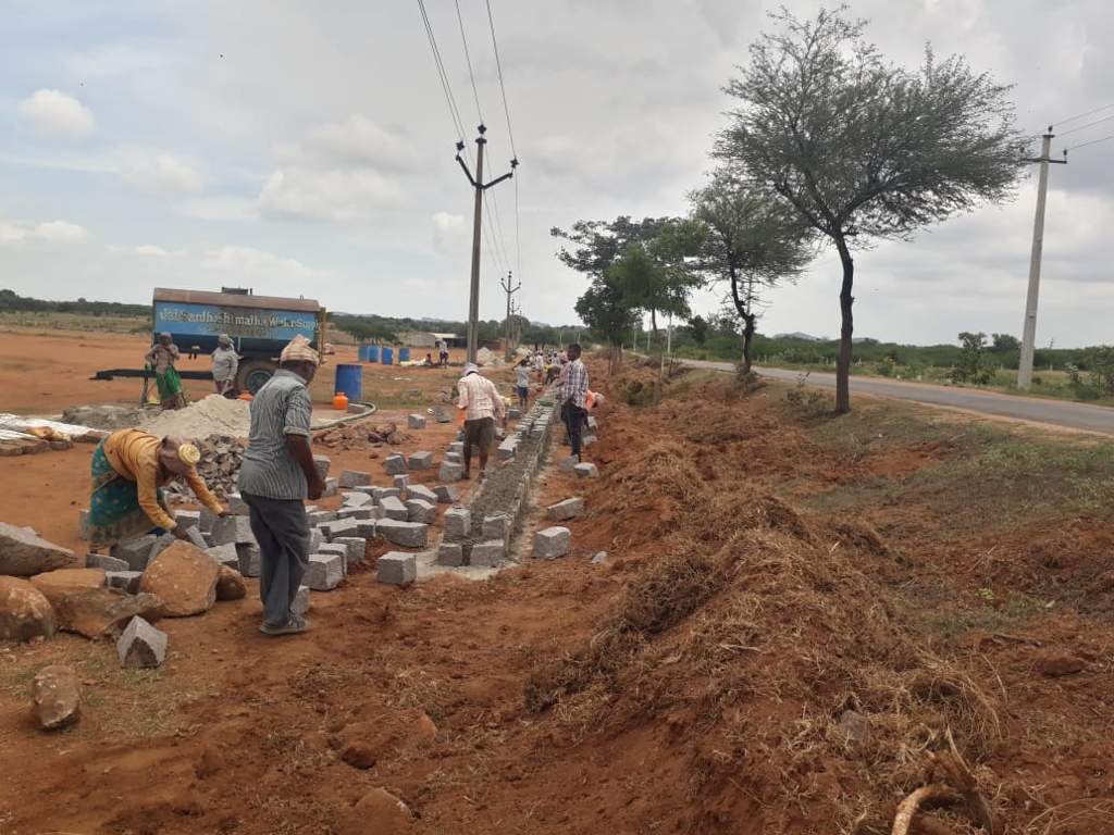 Images for mainOther