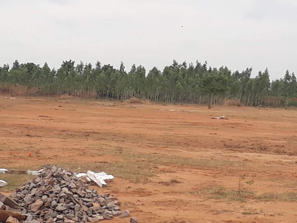 Images for mainOther