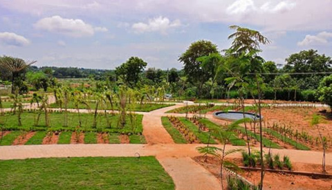 Landscaped Gardens premio-phase-2 Landscaped Gardens