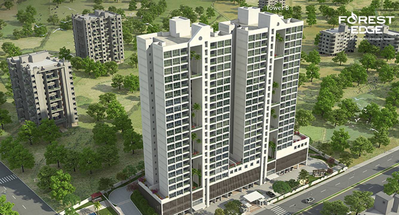 forest edge phase 2 Images for Project