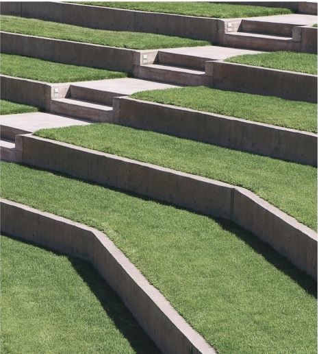 Amphitheater forest-edge-phase-2 Amphitheater