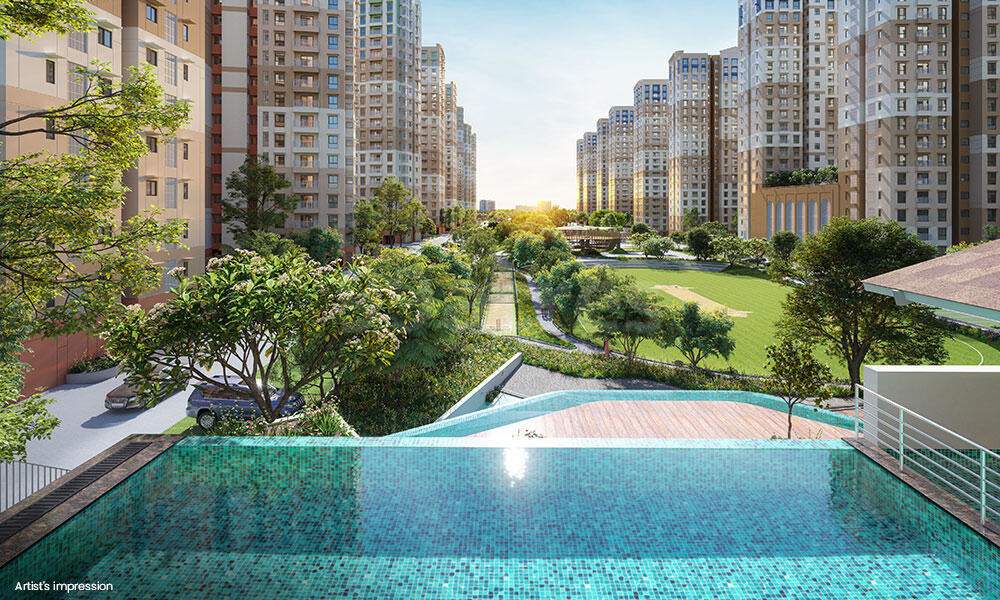  gallium at brigade el dorado Landscape Garden and Tree Planting