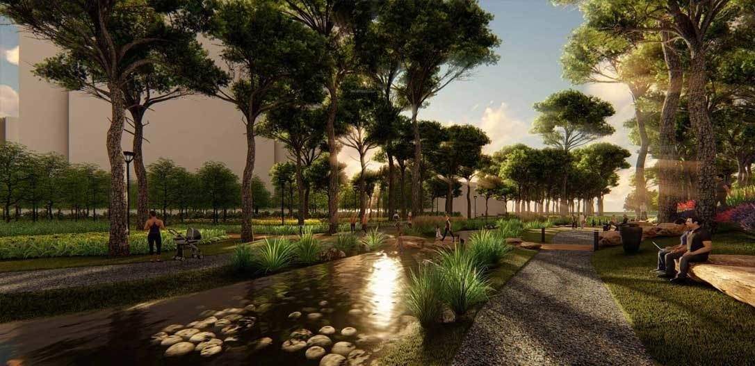  gallium at brigade el dorado Landscape Garden and Tree Planting