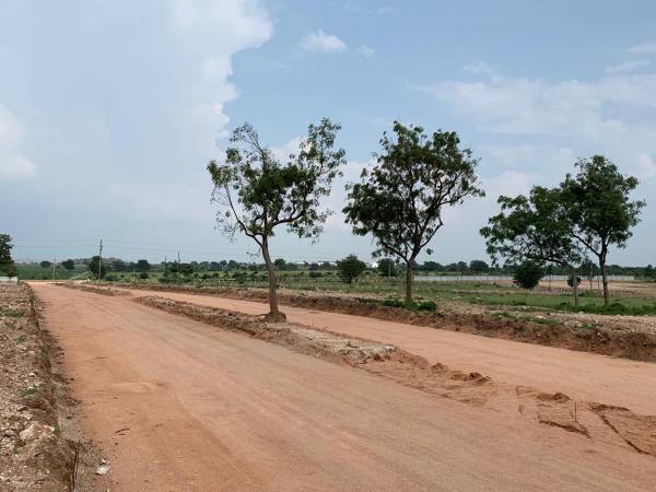  centre-park Images for Project