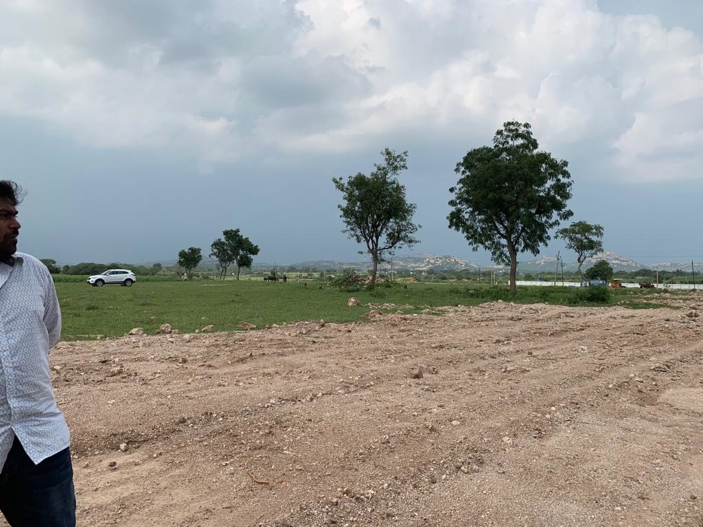 Images for mainOther