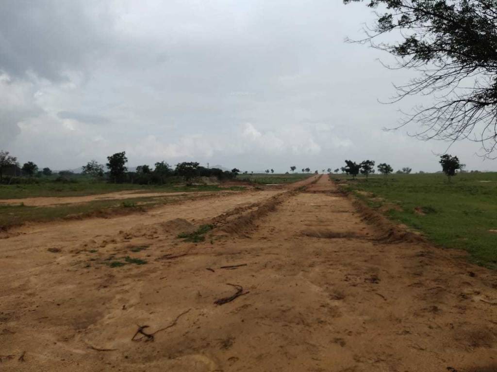 Images for mainOther