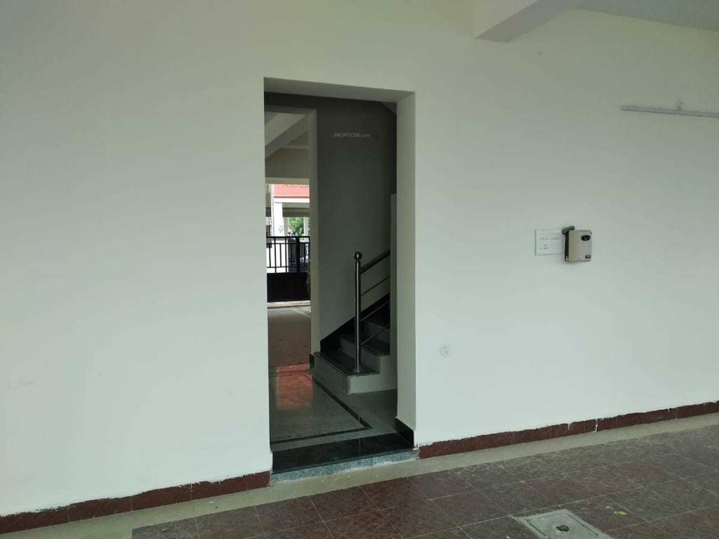 Images for mainOther