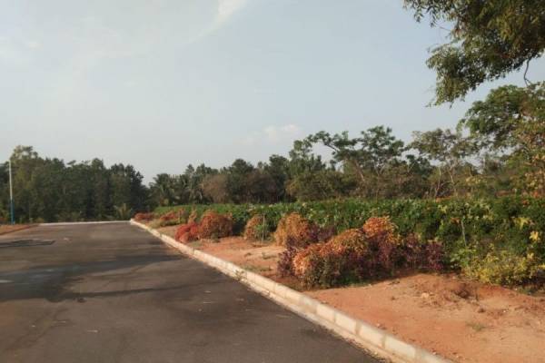  sanjeevini Internal Roads
