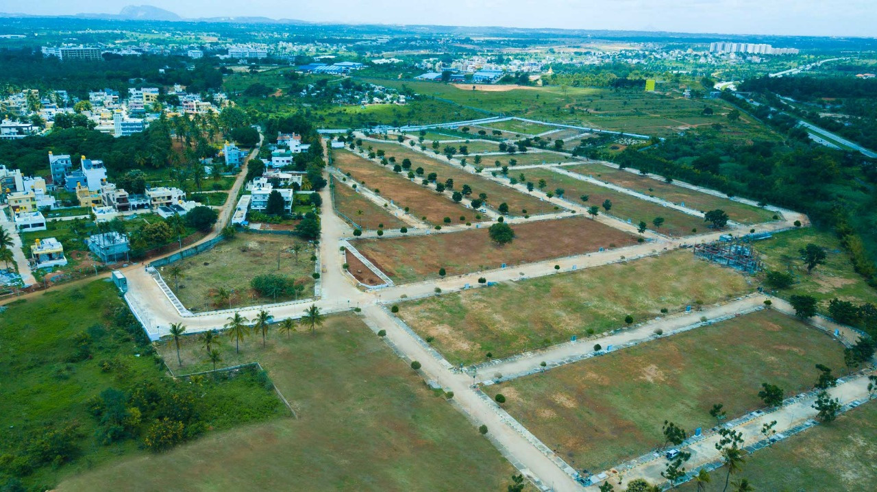 Images for mainOther