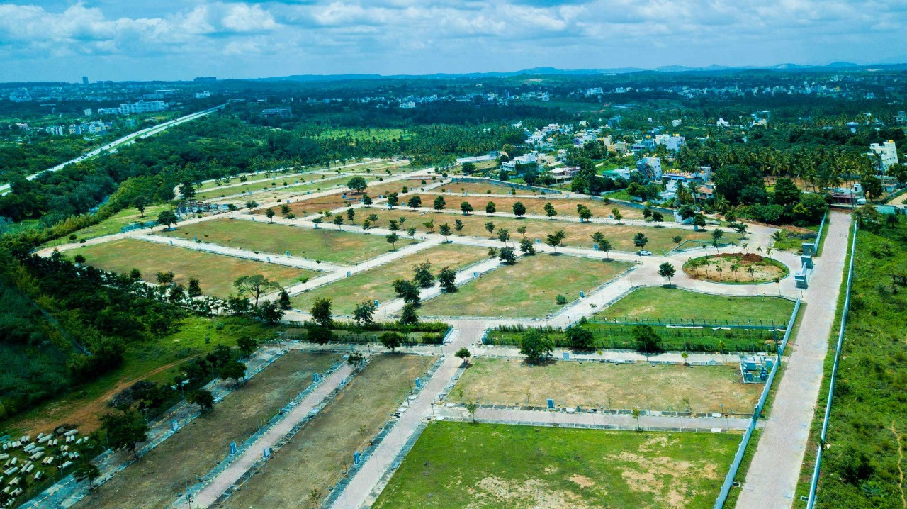 Images for mainOther