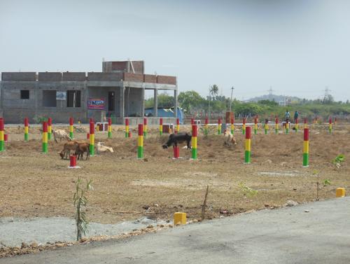  varsha-garden Images for mainOther