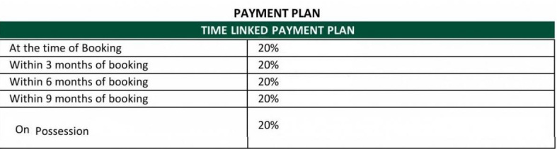 group Time Linked Payment (TLP) Payment Plan