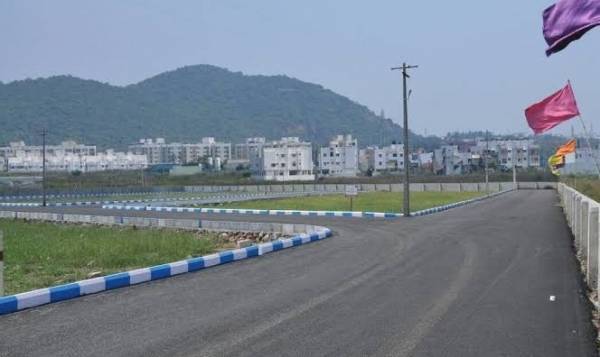  blossom Images for Project