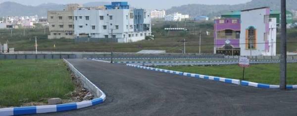  blossom Images for Project