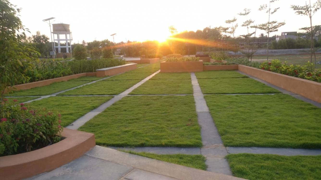 Images for mainOther