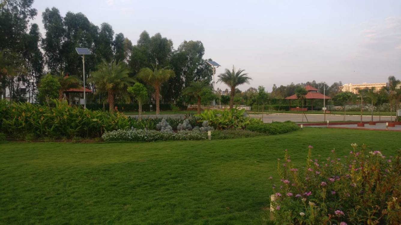 Images for mainOther