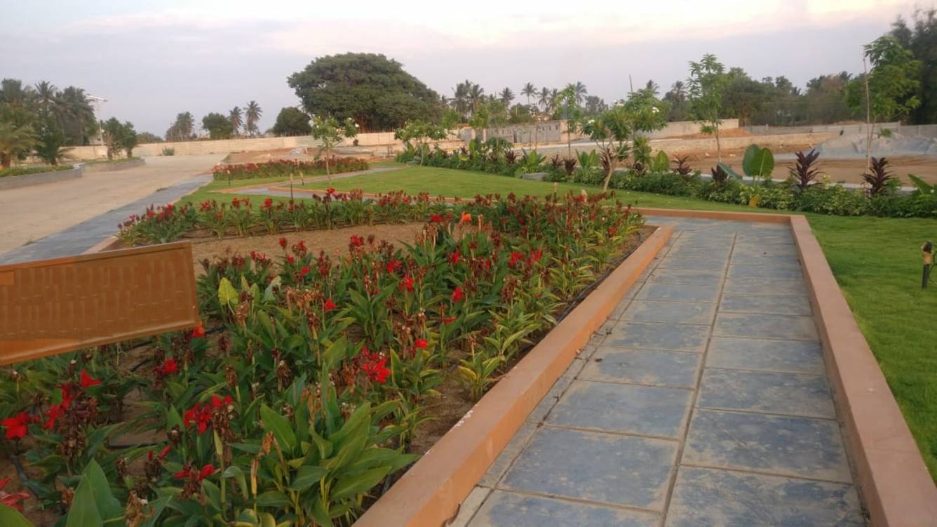 Images for mainOther