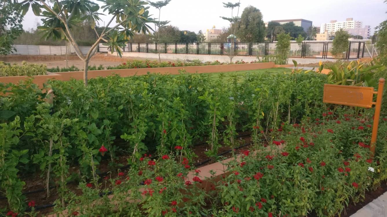 Images for mainOther