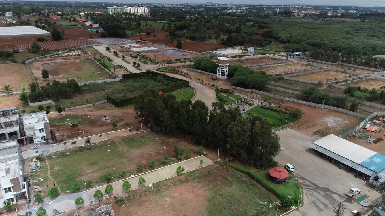 Images for mainOther